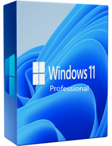 windows 11 pro