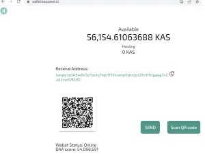 KASPA Status und Adresse des Wallet-Kontos